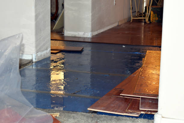 Professional Basement Flood Cleanup technician working in Levant, ME